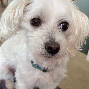 Meet your Posher, Becky